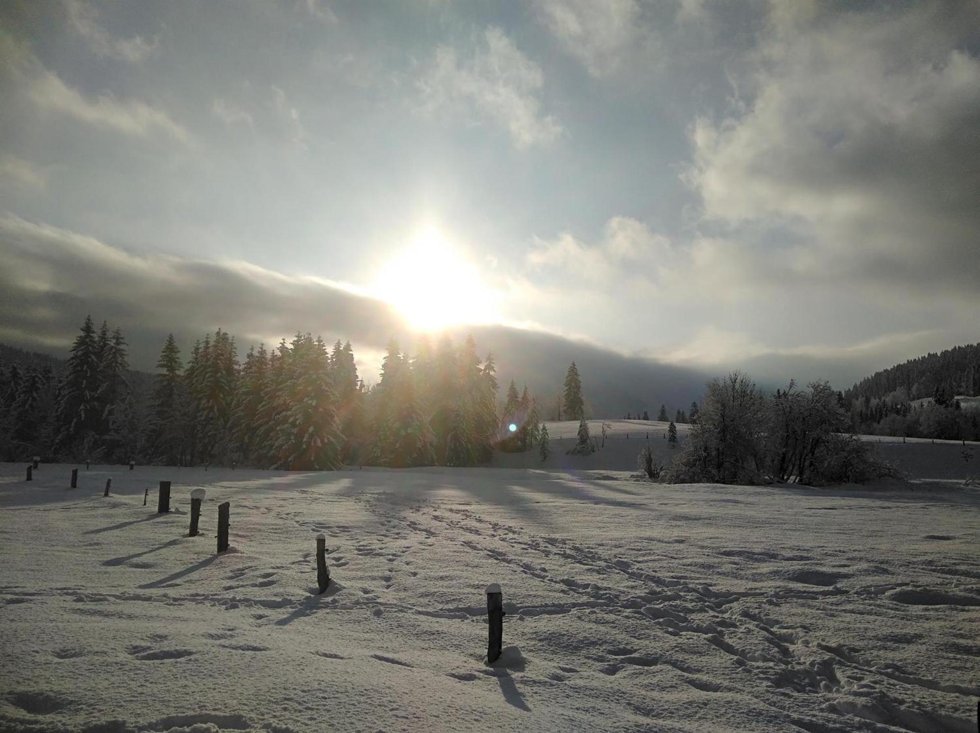 Ferienwohnungen Recherhof Hochfilzen Exterior foto
