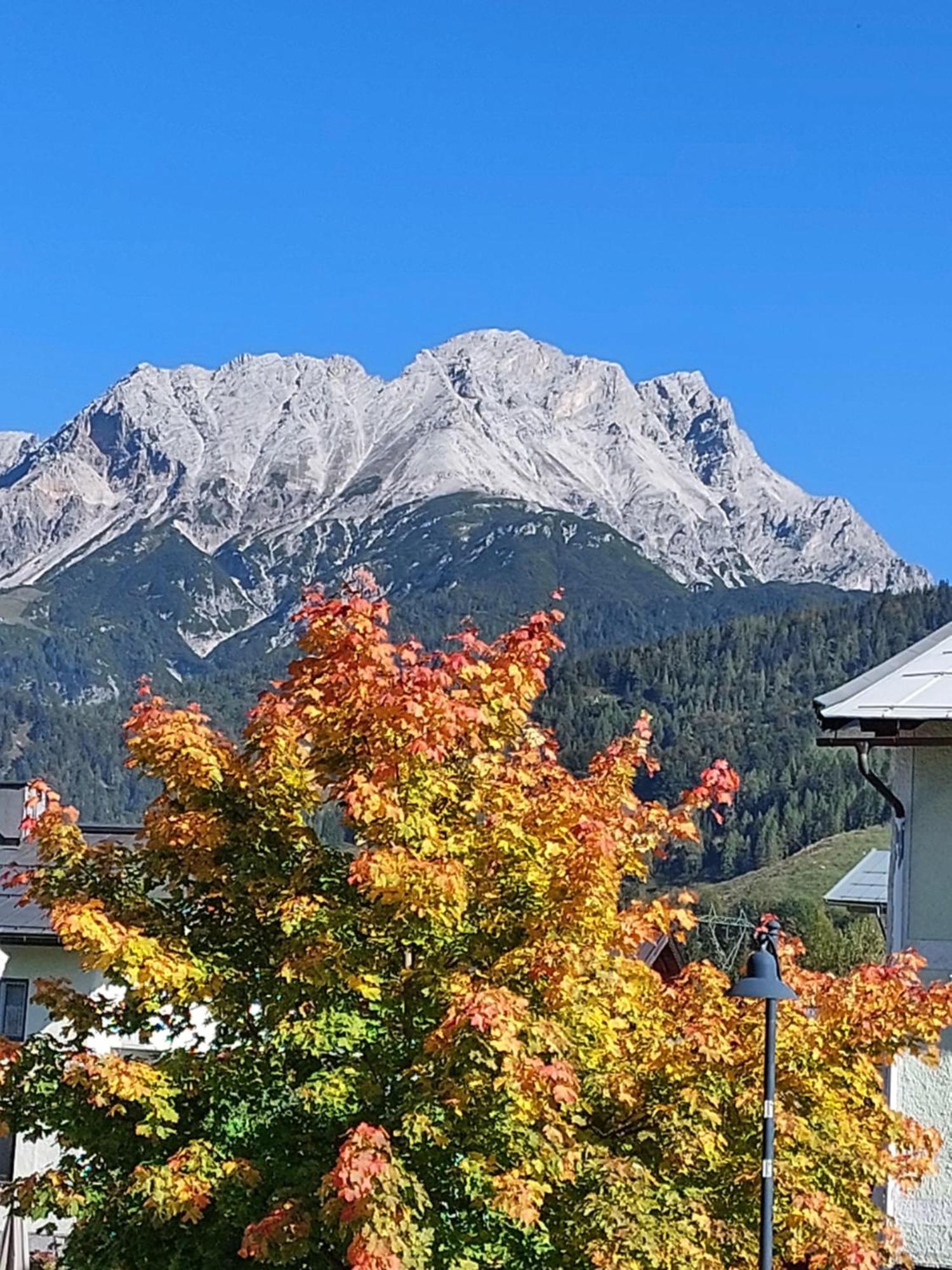 Ferienwohnungen Recherhof Hochfilzen Exterior foto